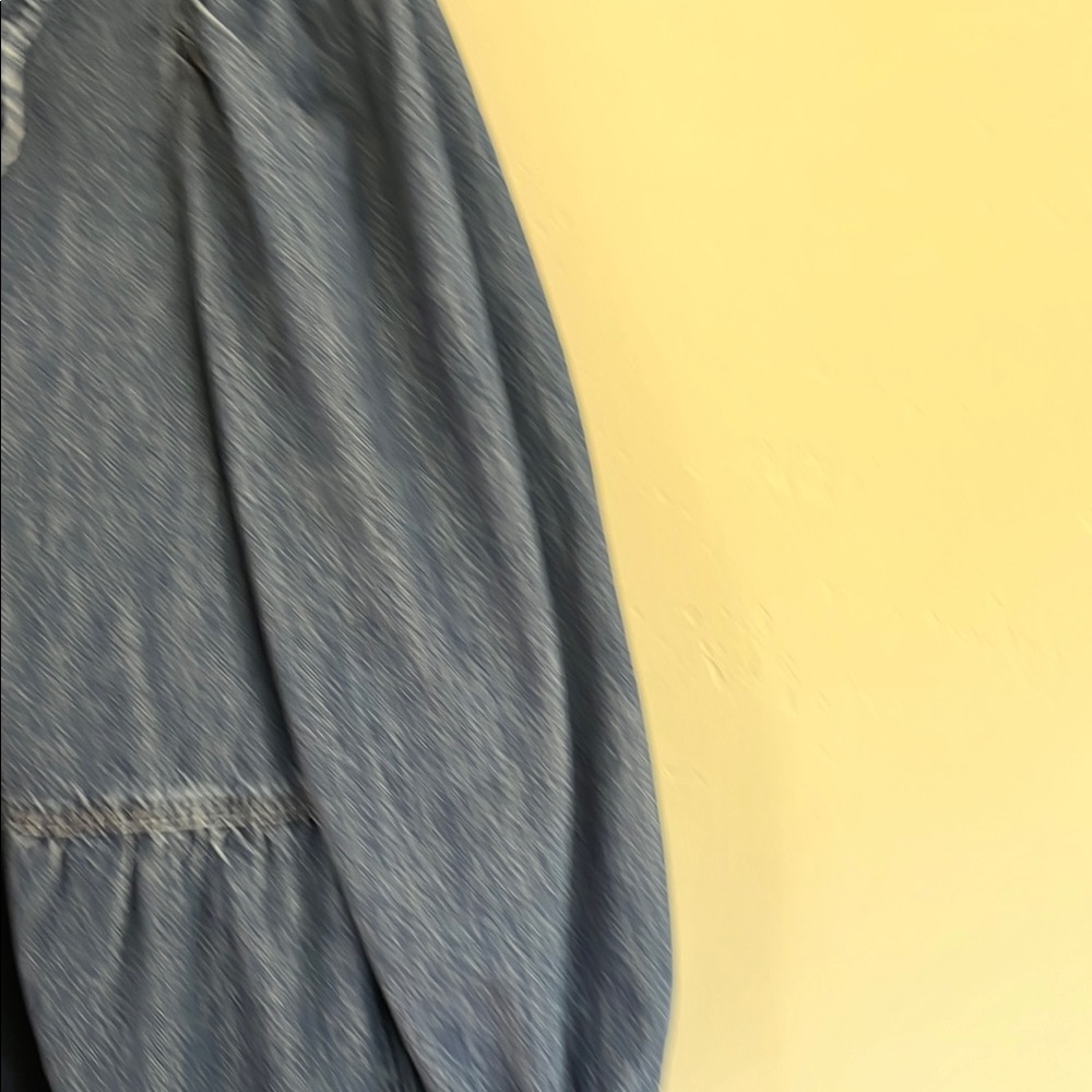 Blue Denim Dress with Ruffled Collar - Picture 3 of 5